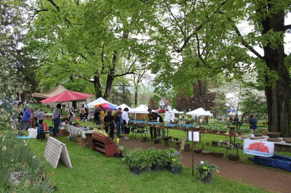Your Local Food Weekend for May 10-11