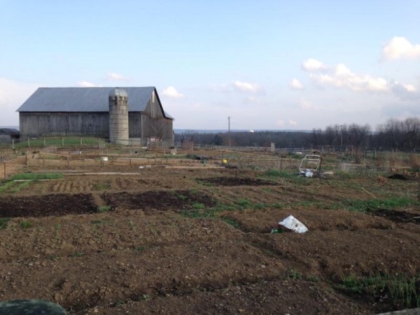 Farmer survey: Untreated/raw manure use on produce farms