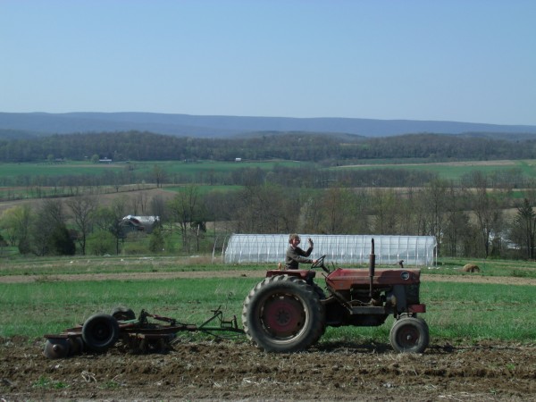 The natural beauty of a local farm