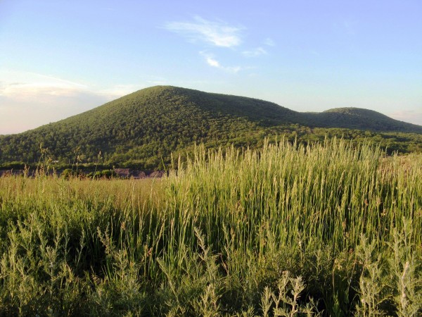 Interview with Fred Volz of the soon-to-be Nittany Mountain Distillery