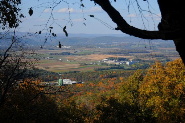 Your Local Food Weekend for Oct. 5-6