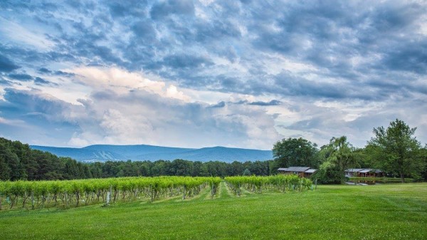 Unique wine events on spring calendar at Mt. Nittany Vineyard & Winery