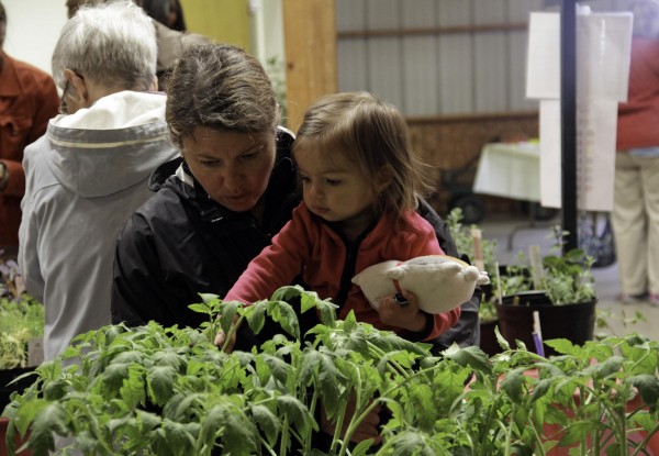 It starts in your backyard: Help the environment via native plants