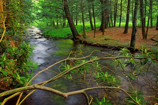 A perfect recipe for your first day of trout season catch