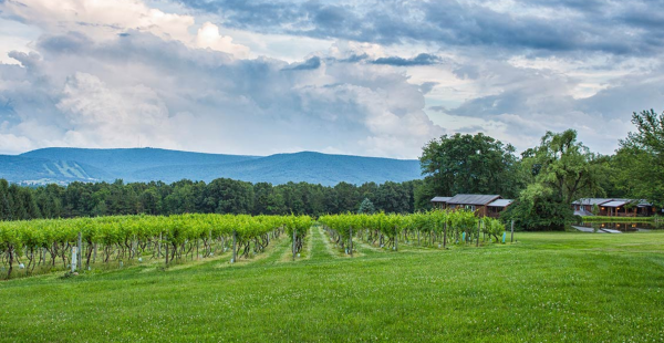 Mother’s Day, June events highlight Mt. Nittany Winery calendar