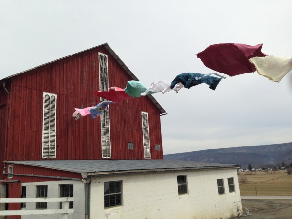 A visit to the farmers of Groundwork Farms CSA