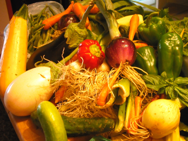 A basket full of vegetables including carrots, peppers, and eggplant.