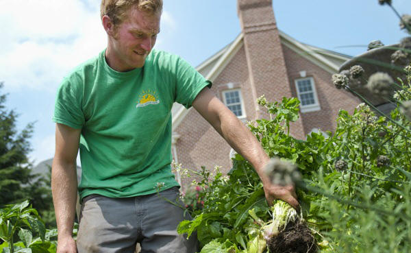 A startup gardening service makes getting fresh vegetables easy