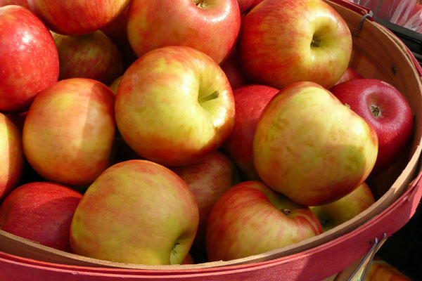 Apple Muffins