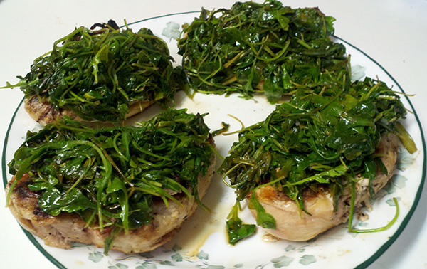 Tasting spring with grilled chicken with lemon-garlic arugula