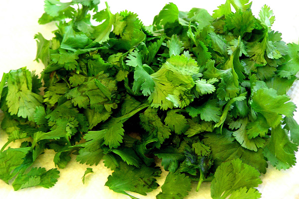 The Great Cilantro Debate