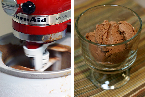 Chocolate Peanut Butter Ice Cream