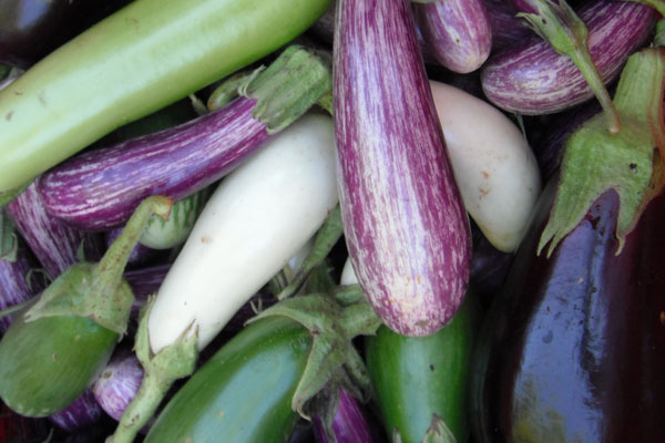 Asian-Style Ratatouille with Eggplant