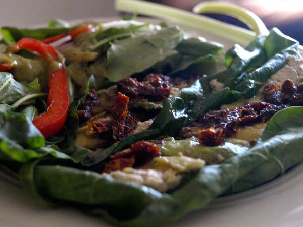 Rainbow Chard