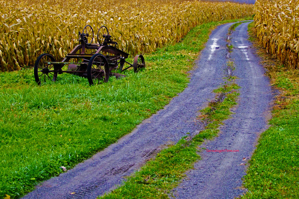 Real Life on the Farm