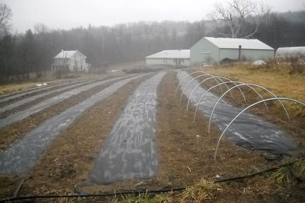 Farm Diary: Late Winter on the Farm