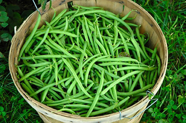 Chef Harrison’s Green Beans Gorgonzola