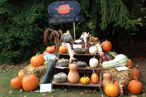 Six things that are great about local food and fall