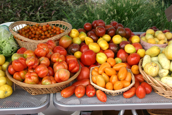 Winner of the Tomato Recipe Contest