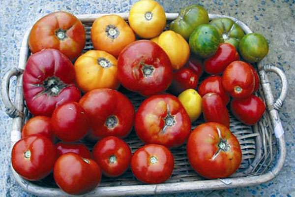 Heirloom Tomatoes