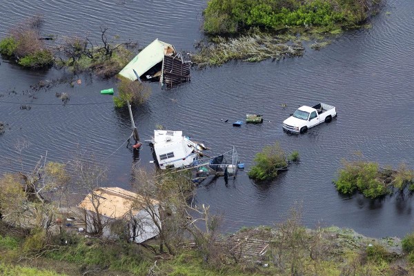 How to help the Texas local food community recover from Harvey