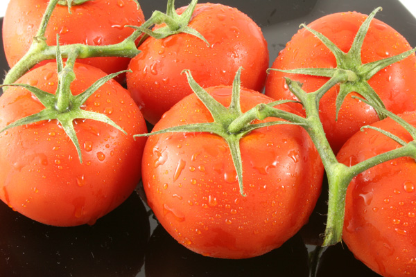 Tomato Avalanche