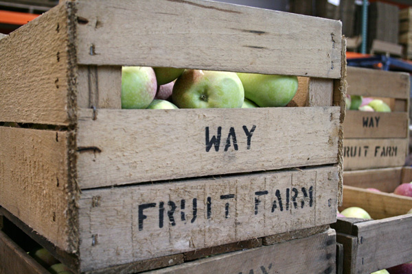 Apples at Way Fruit Farm