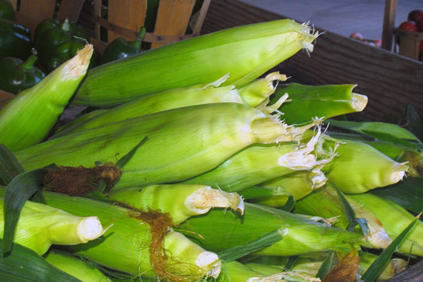 Grilled Corn Salsa