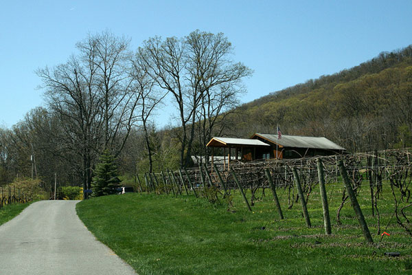 Harvest Photo Contest for Mount Nittany Winery