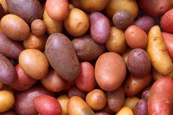 Potatoes Recipe Contest
