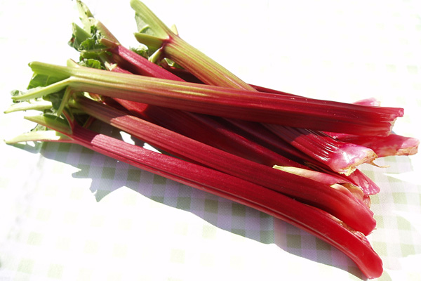 Rhubarb Vinaigrette