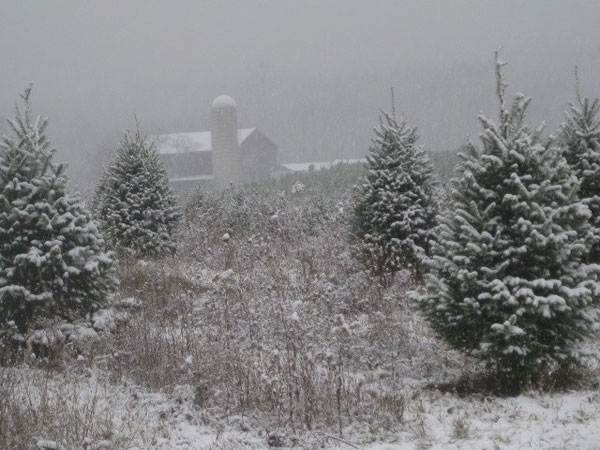 Winter is a time of some rest, reminiscing for local farmers