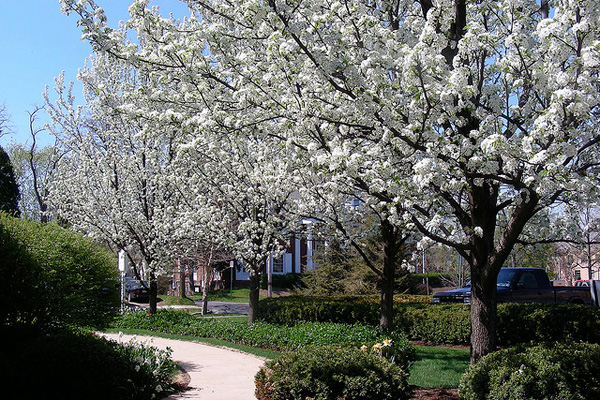 Slow your roll, gardeners! Don’t let these warm temperatures trick you