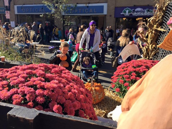 Fall festivals abound this weekend