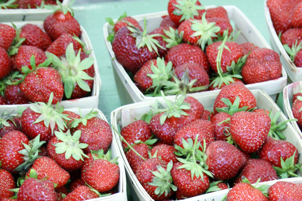 Berries from Baronner’s Farm Market in Hollidaysburg