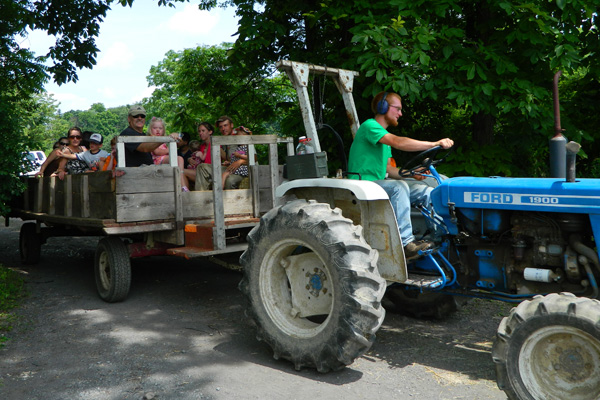 Interview with Kim Tait on Summer Solstice Celebration, local food economy