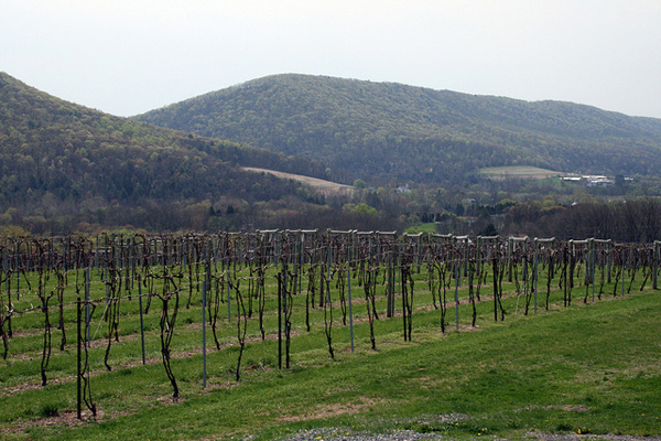 Susquehanna Heartland Wine Trail