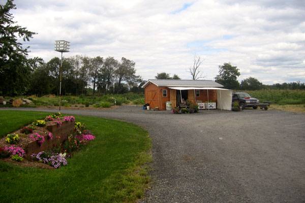 The Garden in Centre Hall