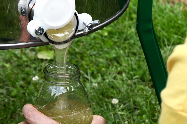 Local Food Video: The Yard—Taking honey and pollinated products to the market