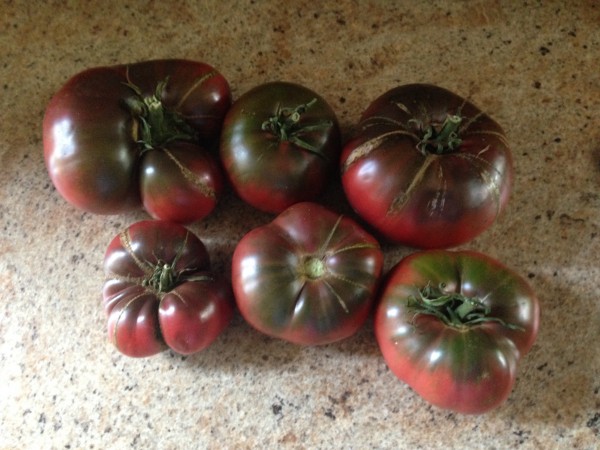 So you grow the best tomatoes ever, eh? Here’s your chance to prove it