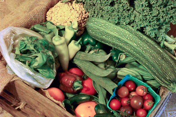 Learning Kitchen Cooking Demonstration at the Boalsburg Farmers Market on Tuesday, July 16