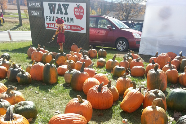 This weekend, get your fill of fall festivals