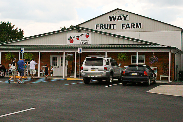 An Afternoon at Way Fruit Farm