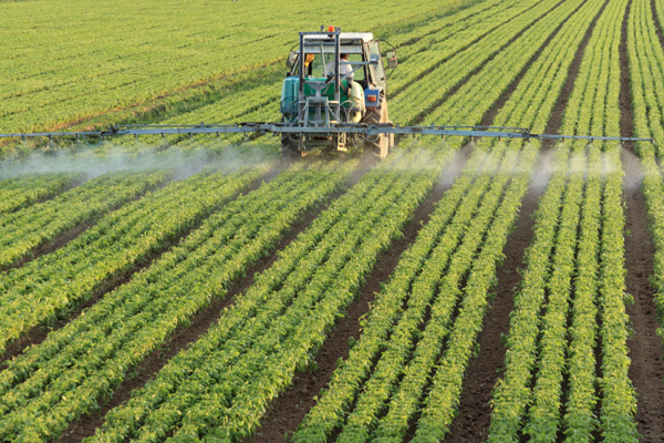 Why Organic? Part 3: Pesticides