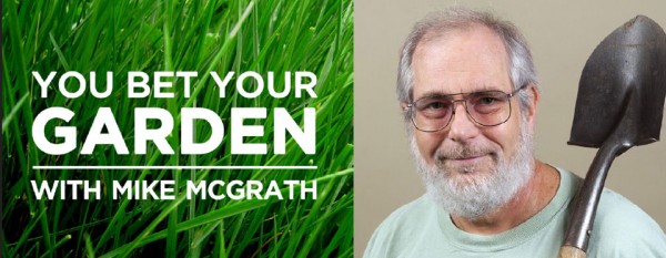 Love ‘You Bet Your Garden?’ Here’s a chance to meet him and support WPSU